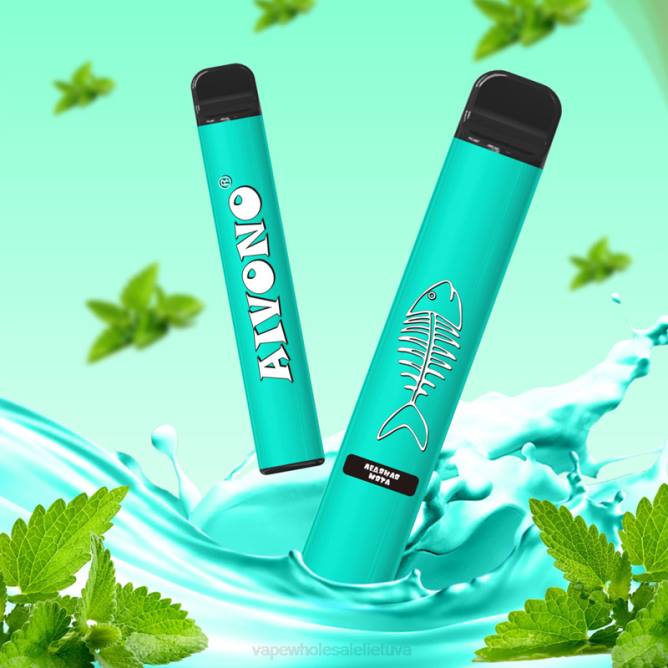 Aivono AIM FISHBONE 600 vėsios mėtos - 4FRZ278 Vape Lietuva
