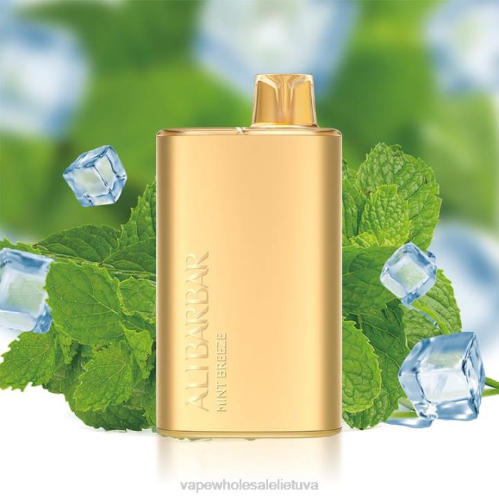 Vienkartiniai Vape 0DL88 Alibarbar Rich 8000 vienkartinių vape mėtinis vėjelis