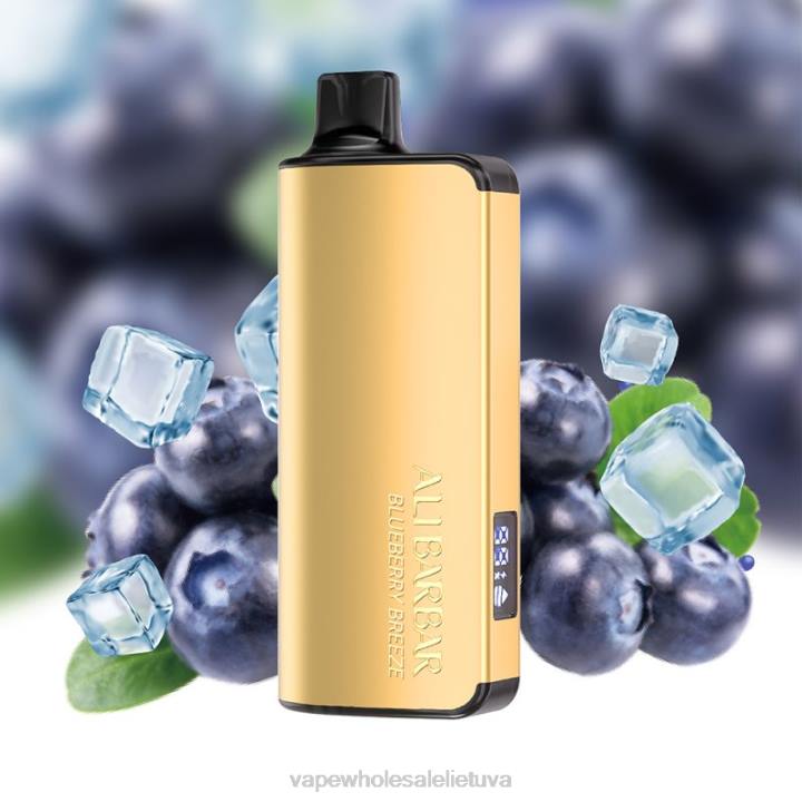 Vape Lietuva 0DL832 Alibarbar Ingot 20000 vienkartinių vape mėlynių vėjas