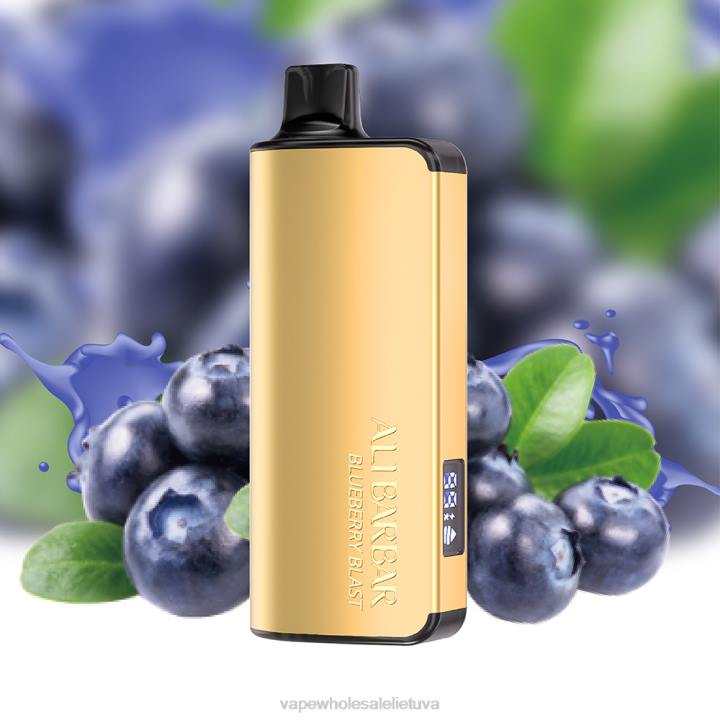 E Cigareciu Skysciai 0DL815 Alibarbar Ingot 9000 vienkartinių vape mėlynių sprogimas