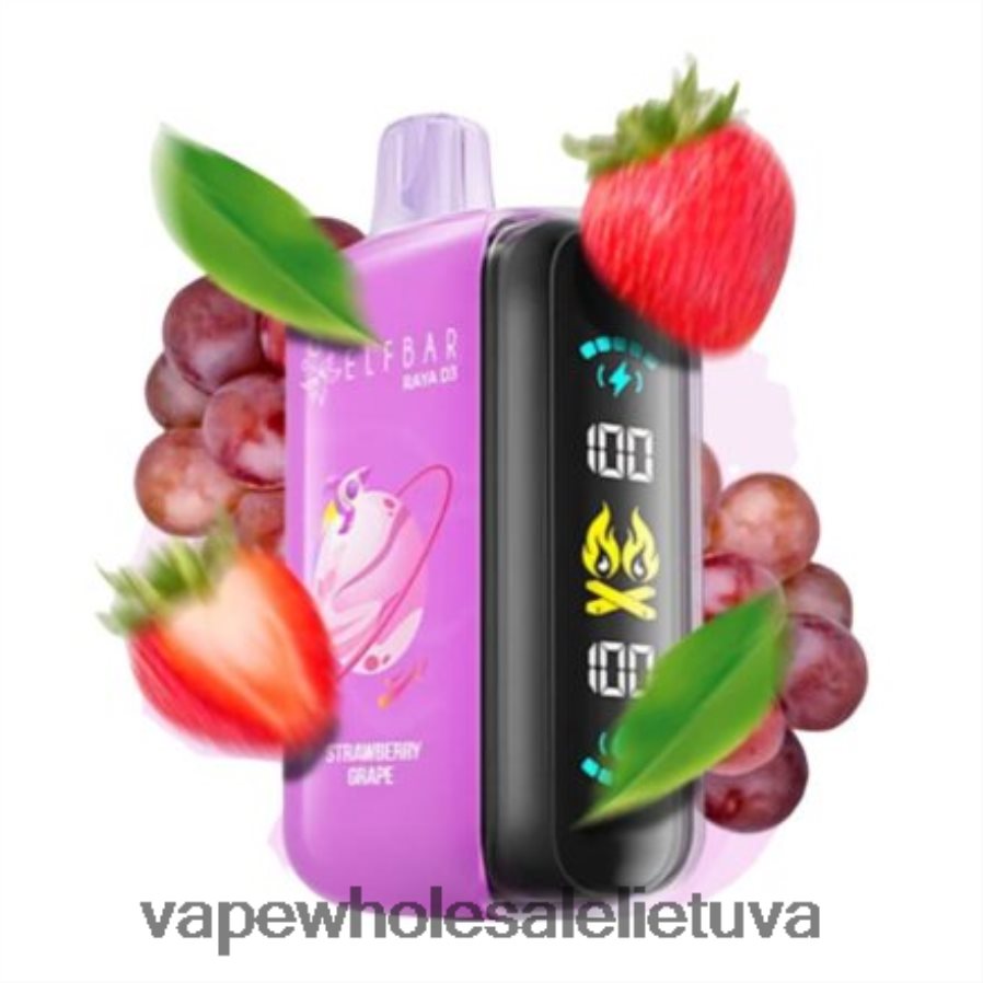 Elf Bar Raya D3 25 000 - 2LXB841 vienkartiniai Vape Wholesale Lietuva
