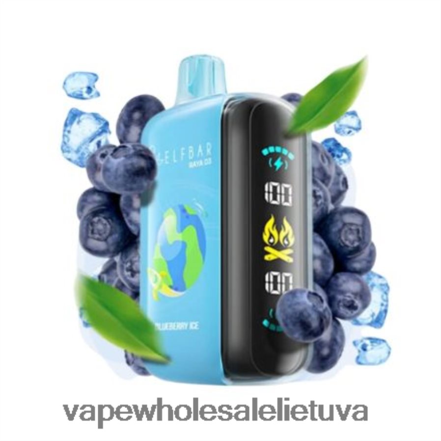 Elf Bar Raya D3 25 000 - 2LXB841 vienkartiniai Vape Wholesale Lietuva