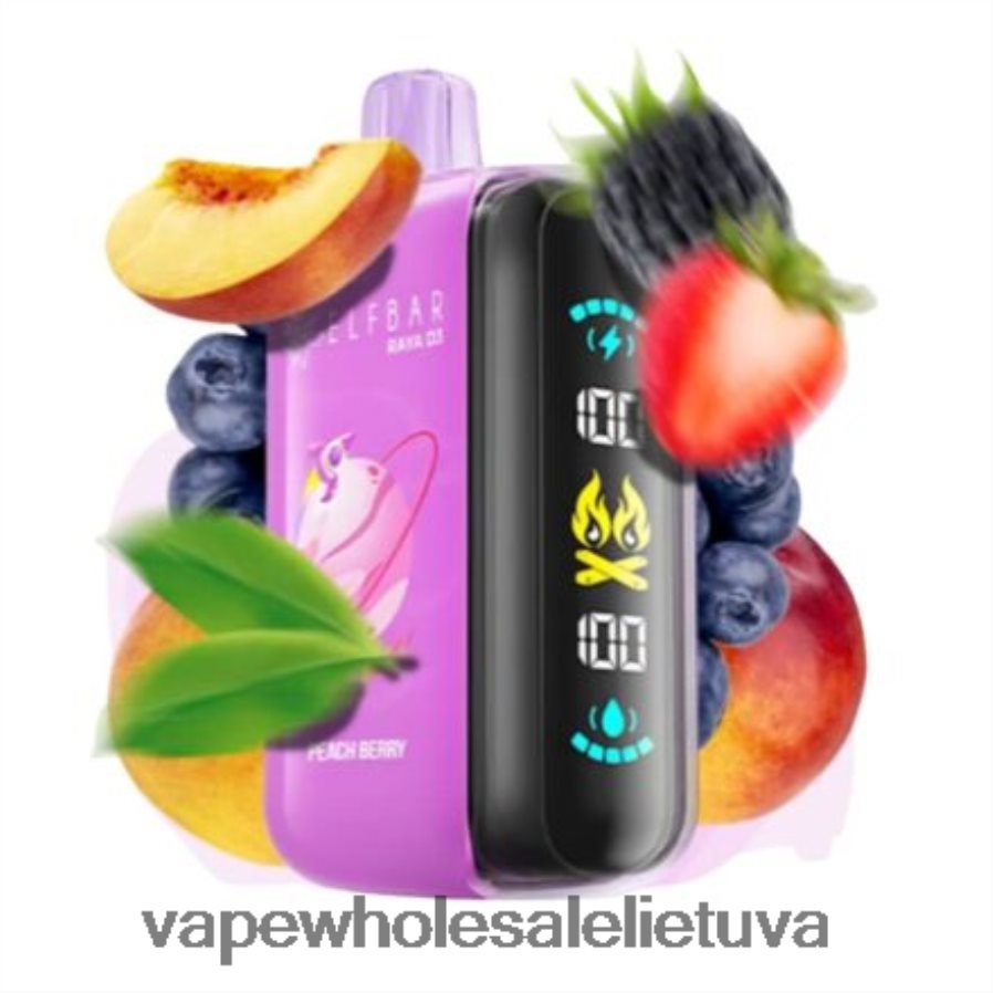 Elf Bar Raya D3 25 000 - 2LXB841 vienkartiniai Vape Wholesale Lietuva