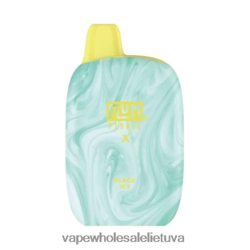 juodas ledinis FLUM PEBBLES 6000 išpūtimų 8V6LN617 Vape Shop Kaunas