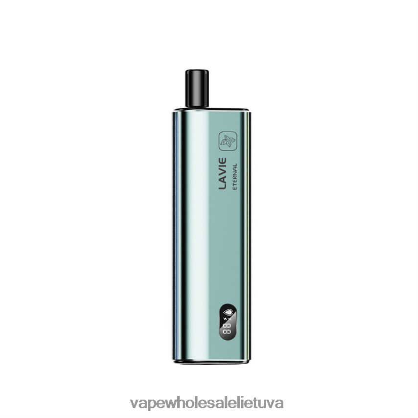 LAVIE ETERNAL 10000 išpūtimų PHN2B4121 | Vape Be Nikotino mėtų ledų