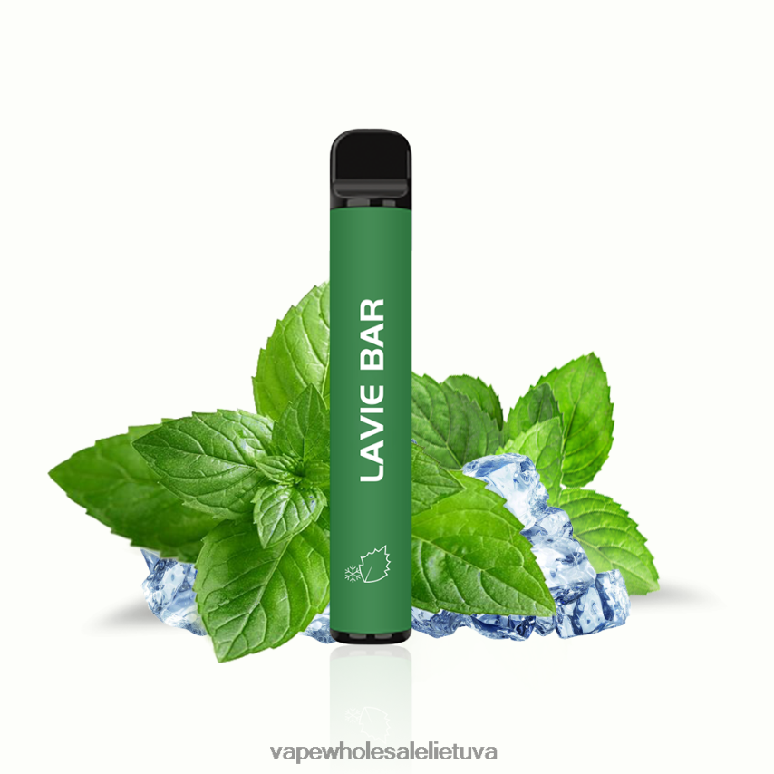 LAVIE BAR 2% versija 800 pūtimų PHN2B4320 | Vape Lietuva vėsios mėtos