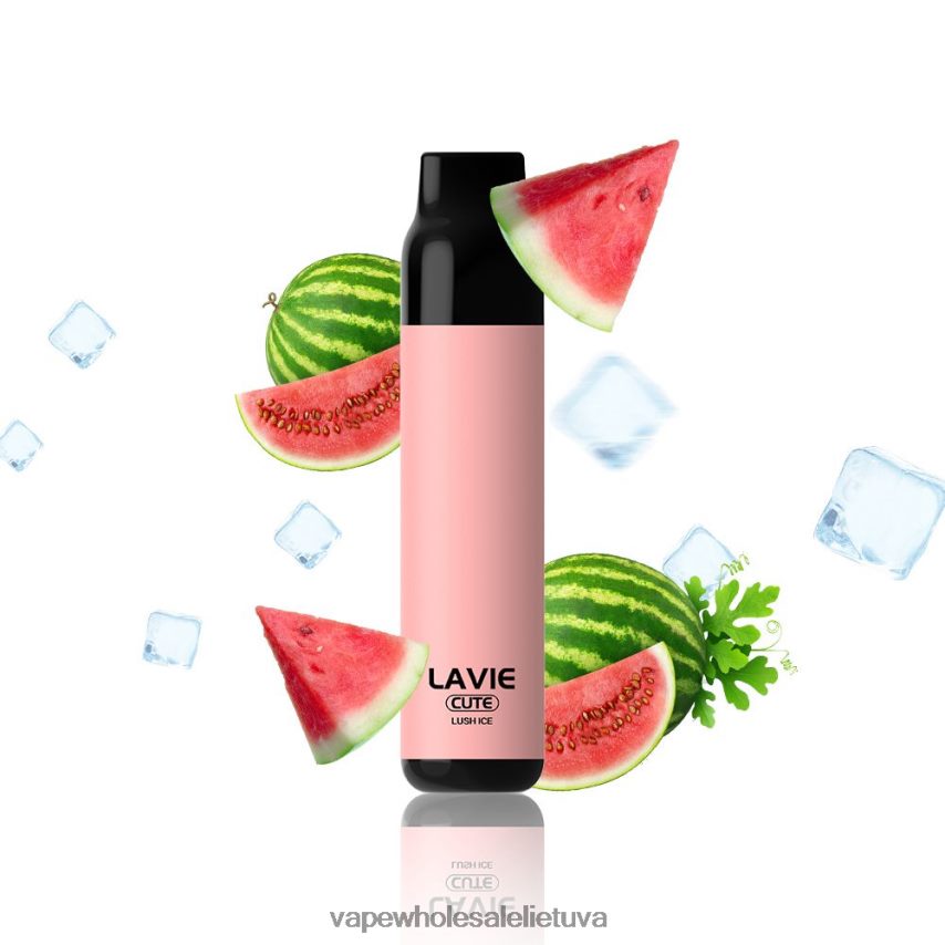 LAVIE BAR 3000 išpūtimų PHN2B4285 | Vape Lietuva sodrus ledas