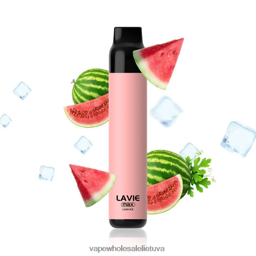 LAVIE BAR 5000 įkvėpimų – maks PHN2B4277 | Vape Shop Vilnius sodrus ledas