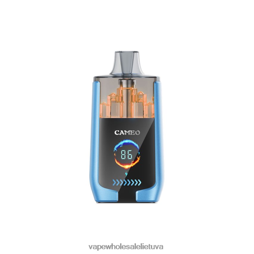 LAVIE CAMEO 30 000 įkvėpimų PHN2B413 | Vape Wholesale Supplier braškių ledų