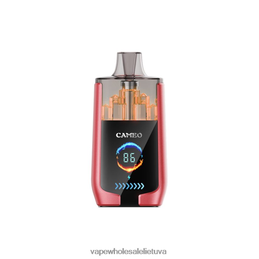 LAVIE CAMEO 30 000 įkvėpimų PHN2B414 | Vape Wholesaler arbūzų ledas