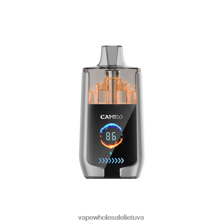 LAVIE CAMEO 30 000 įkvėpimų PHN2B415 | Vape Wholesale Lietuva mėlynių ledų