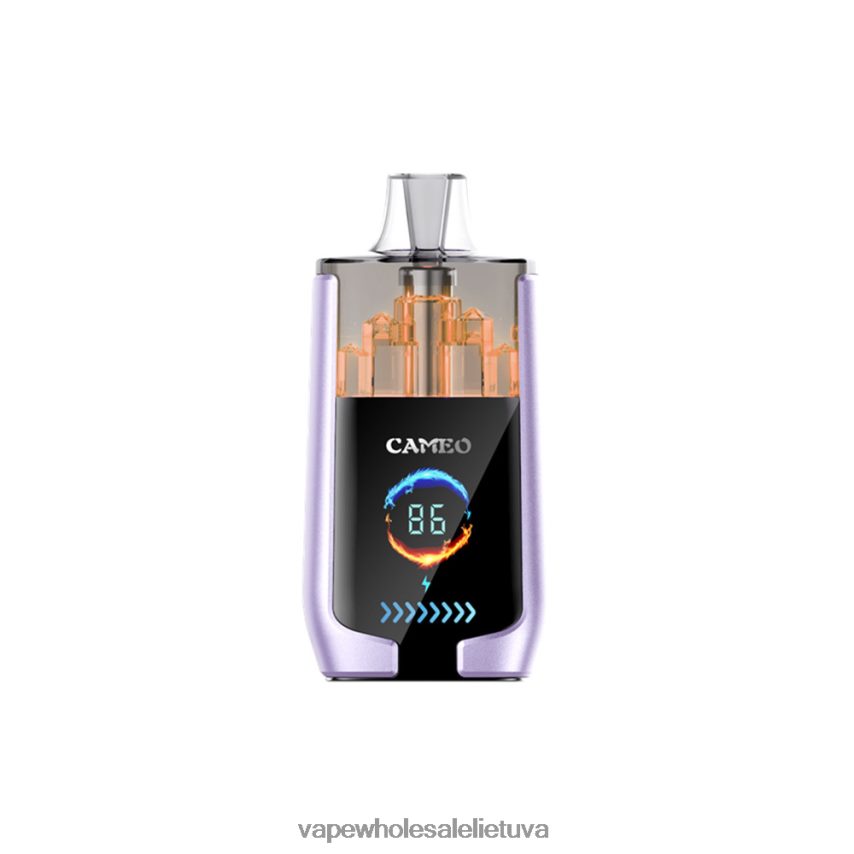 LAVIE CAMEO 30 000 įkvėpimų PHN2B416 | Vape Be Nikotino vynuogių ledas