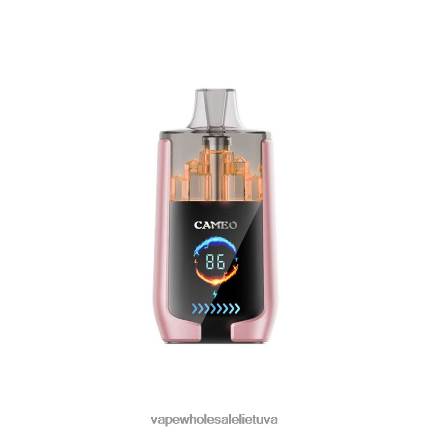LAVIE CAMEO 30 000 įkvėpimų PHN2B419 | Vape Lietuva tropiniai vaisiai