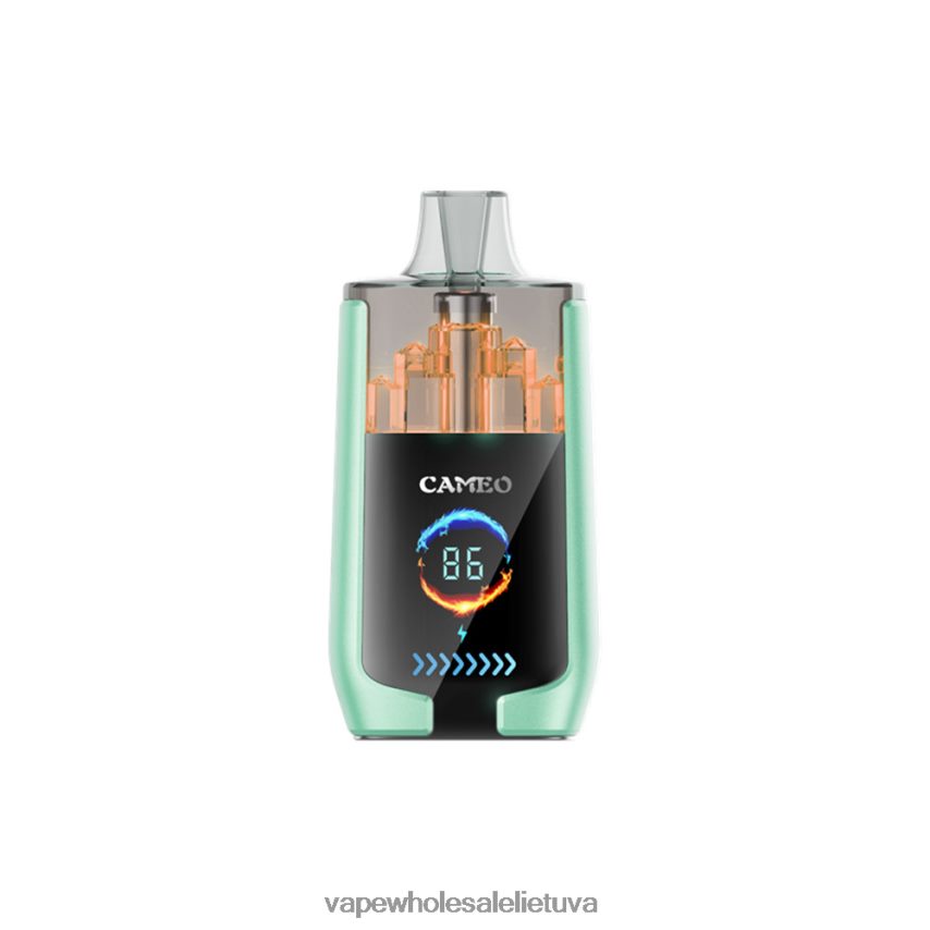 LAVIE CAMEO 30 000 įkvėpimų PHN2B420 | Vape Wholesale Supplier dvigubas obuolys