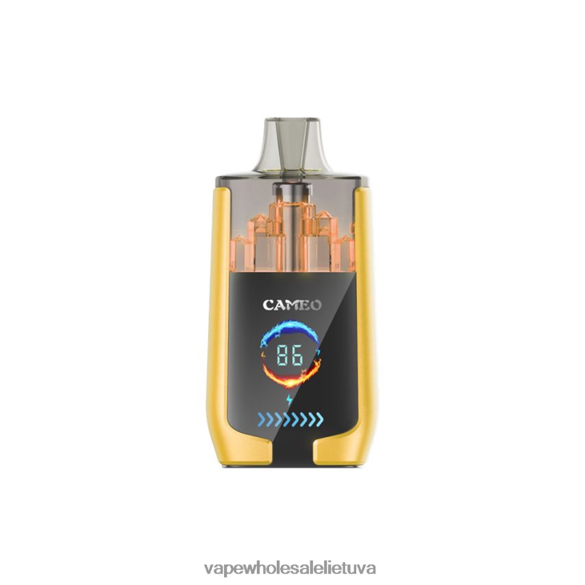 LAVIE CAMEO 30 000 įkvėpimų PHN2B421 | Vape Wholesaler mangų ledas