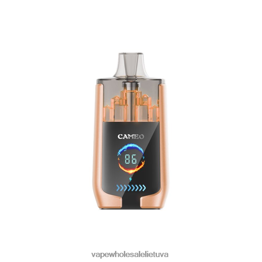 LAVIE CAMEO 30 000 įkvėpimų PHN2B422 | Vape Wholesale Lietuva vyšnia