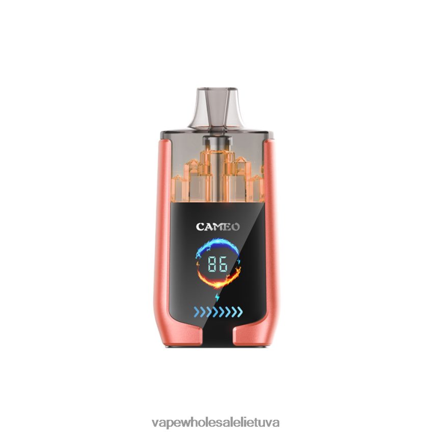 LAVIE CAMEO 30 000 įkvėpimų PHN2B424 | Vape Shop Kaunas braškinis arbūzas