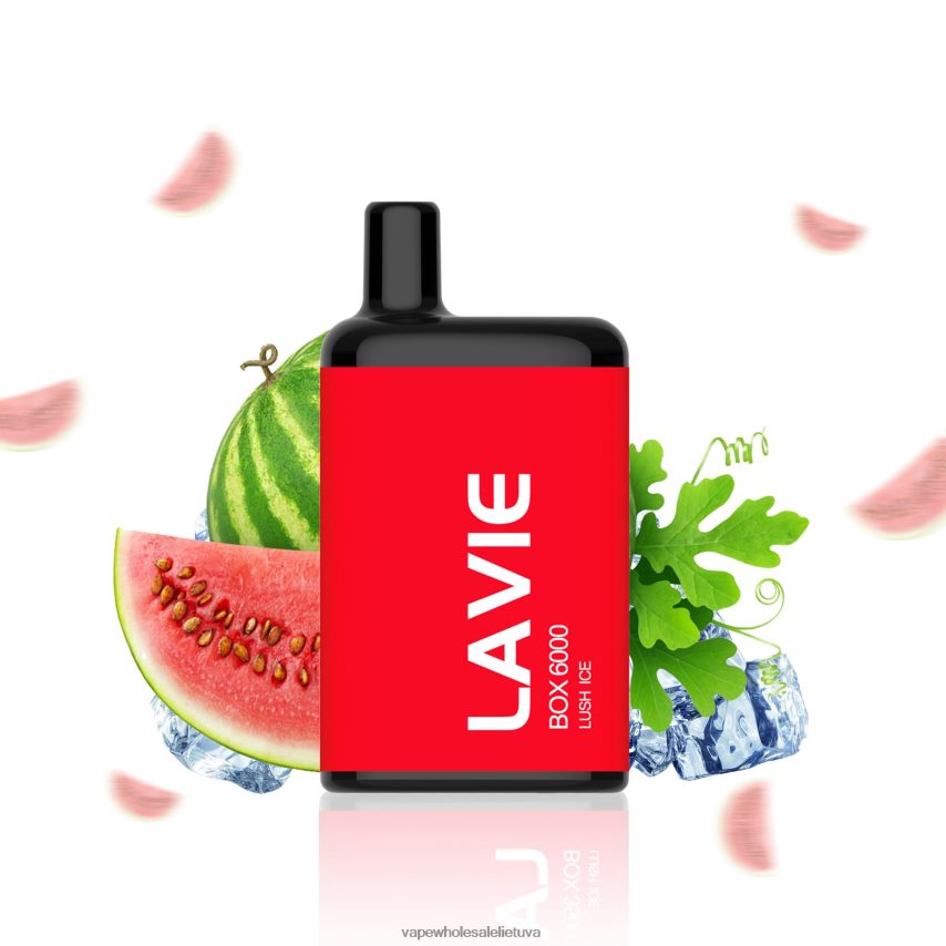 LAVIE BOX 6000 išpūtimų PHN2B4199 | Vape Shop Kaunas sodrus ledas