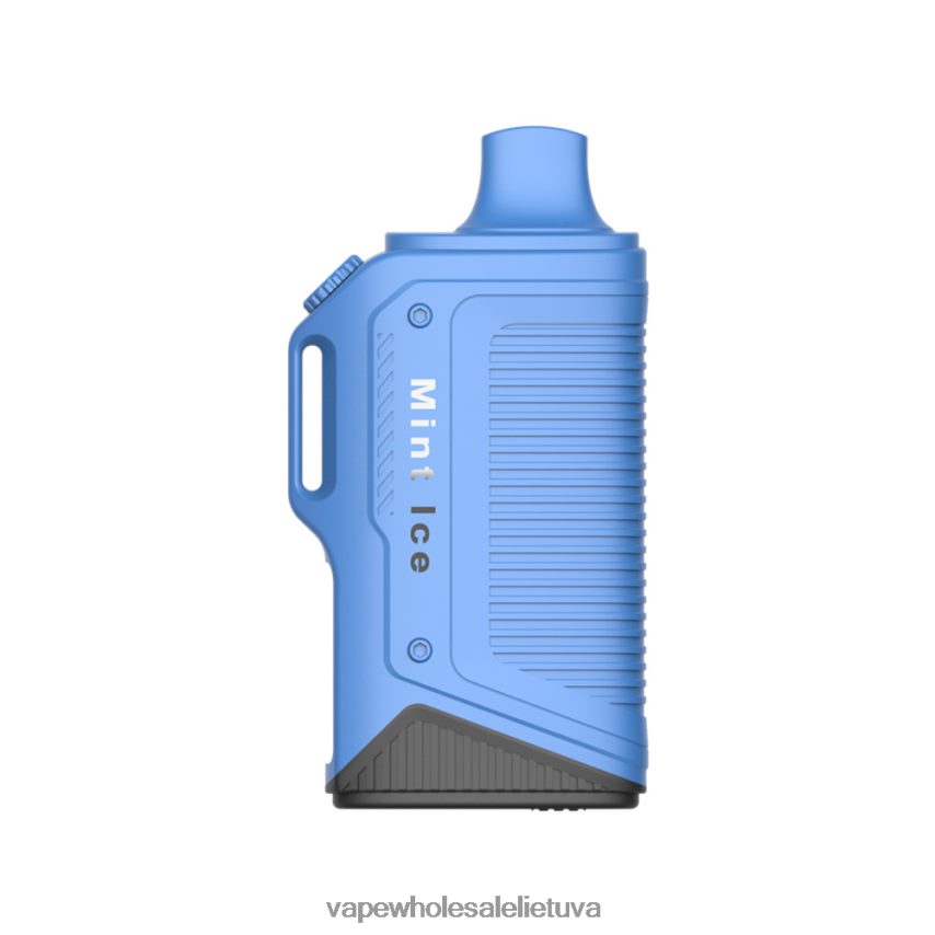 LAVIE Energy Box 15 000 įkvėpimų PHN2B472 | Vape Be Nikotino mėtų ledų