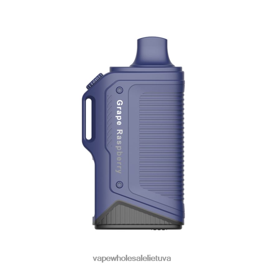 LAVIE Energy Box 15 000 įkvėpimų PHN2B477 | Vape Wholesaler vynuogių aviečių