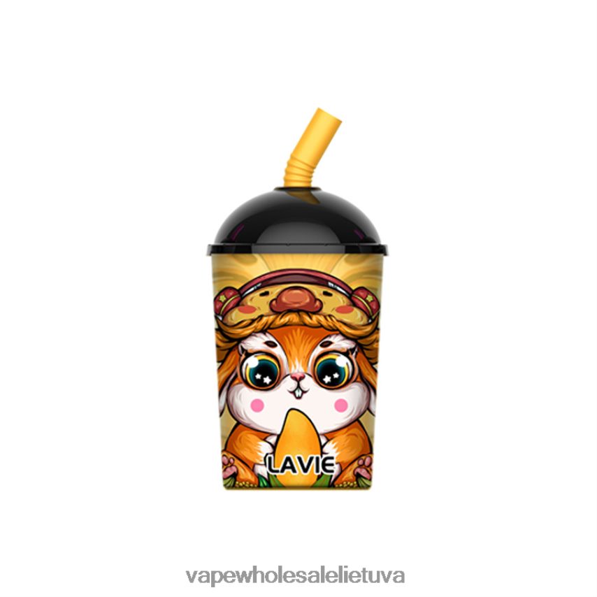 LAVIE Max Cup 8000 įkvėpimų PHN2B4262 | Vape Shop Kaunas mangų ledas