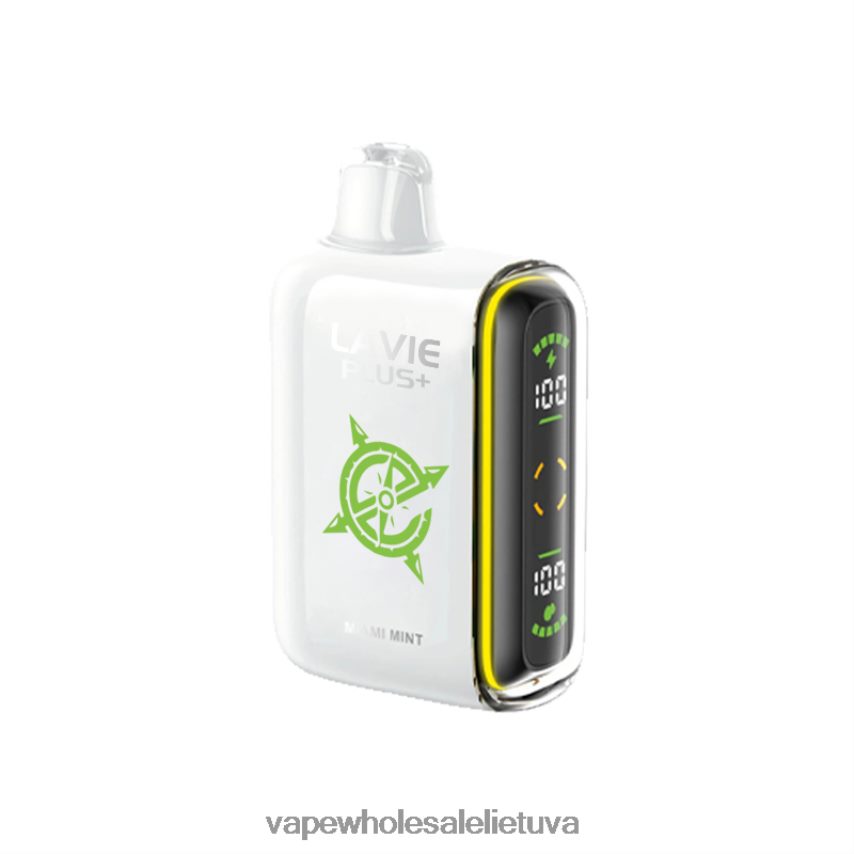 LAVIE PLUS 15 000 įkvėpimų PHN2B498 | Vape Wholesaler Majamio mėtų