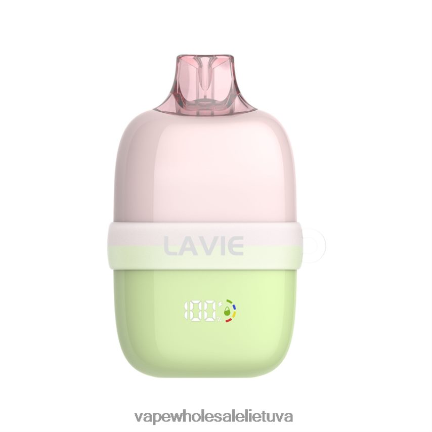 LAVIE INSIDER 12000 įpūtimų PHN2B487 | Vape Shop Kaunas žalių vynuogių ledas