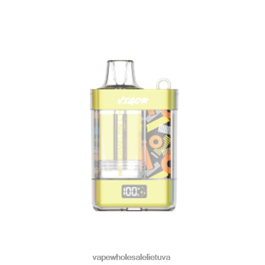 LAVIE VIGOR 15 000 įkvėpimų PHN2B411 | Vape Shop Vilnius arbūzo ličiai