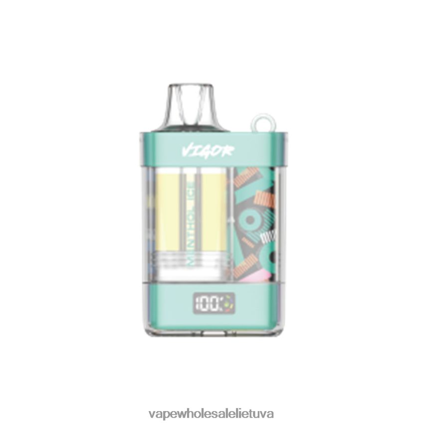 LAVIE VIGOR 15 000 įkvėpimų PHN2B42 | Vape Be Nikotino mentolio ledas