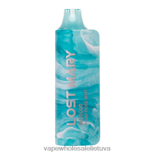 Vape Wholesale Lietuva Z8D0T531 | LOST MARY MO5000 slyvų rožių mėtų