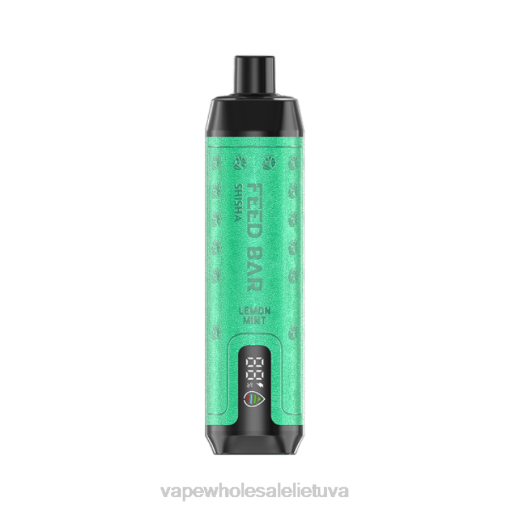 Vape Be Nikotino 0DL8101 Vapsolo SHISHA vienkartiniai garai citrinų mėtų