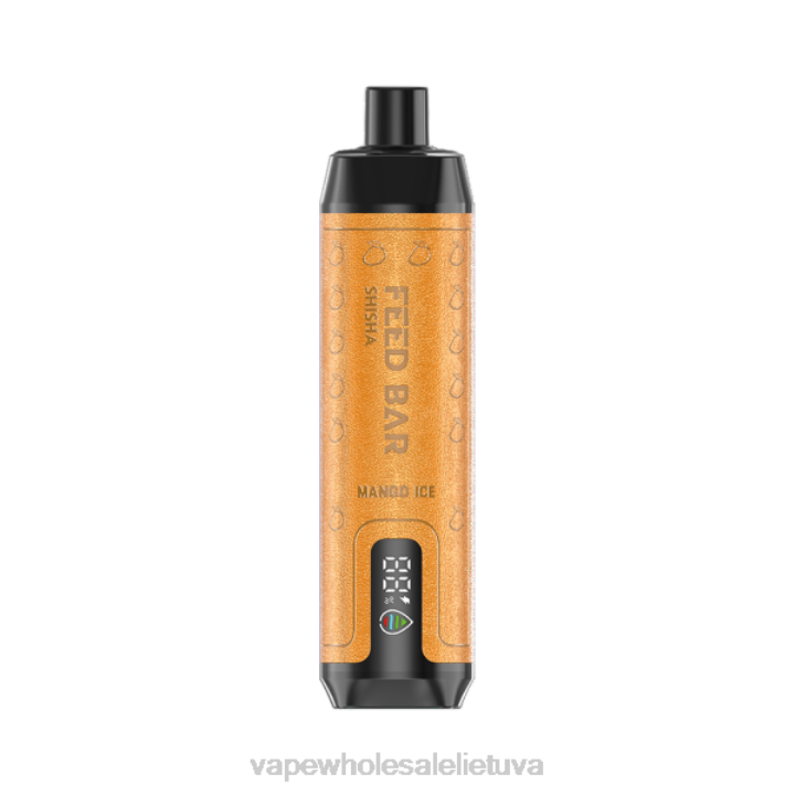 Vape Shop Vilnius 0DL8103 Vapsolo SHISHA vienkartiniai garai mangų ledas