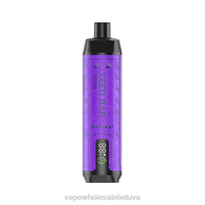Vape Wholesale Lietuva 0DL8100 Vapsolo SHISHA vienkartiniai garai vynuogių mėtų